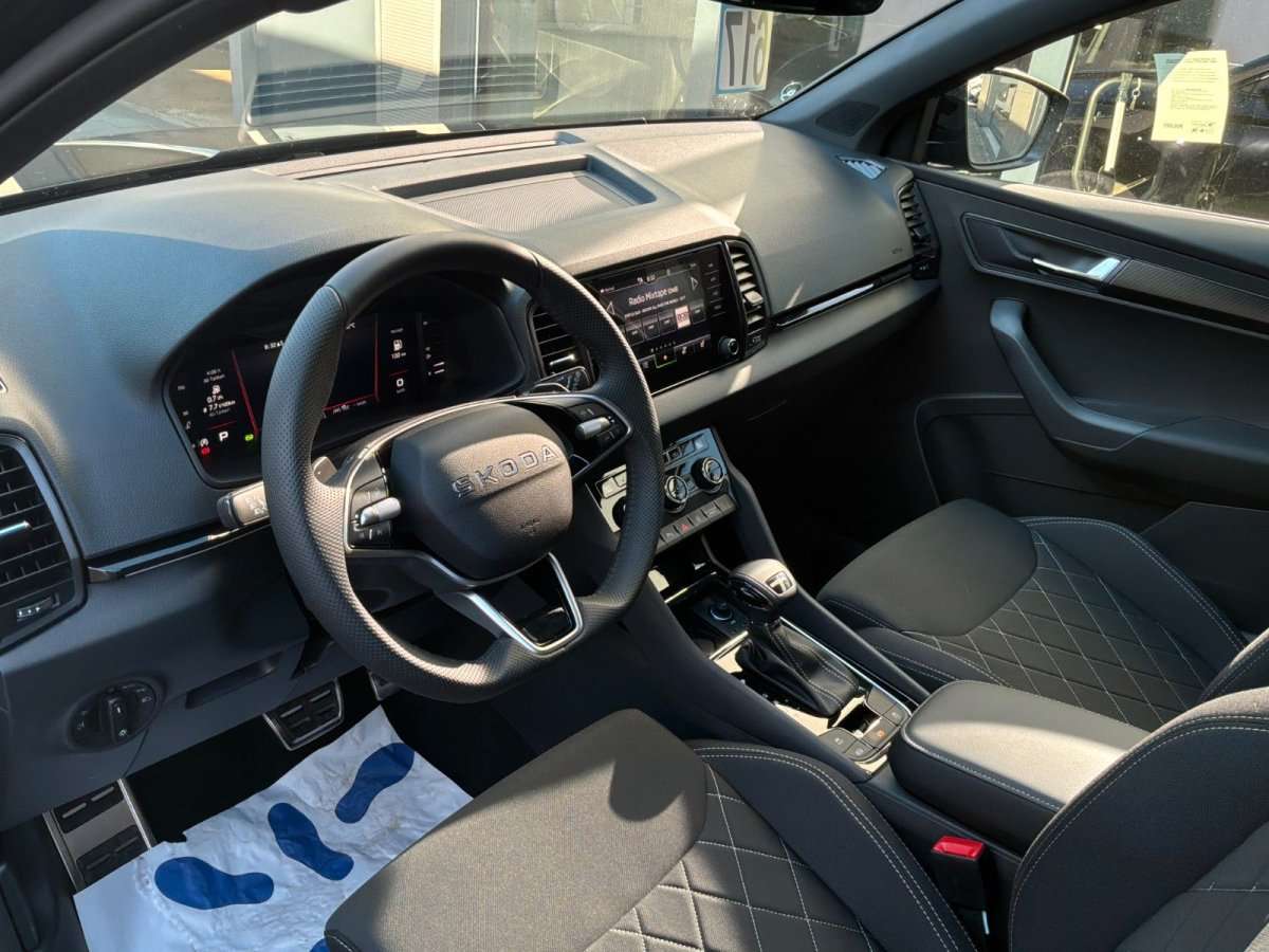 Fahrzeugbild eines Skoda Karoq