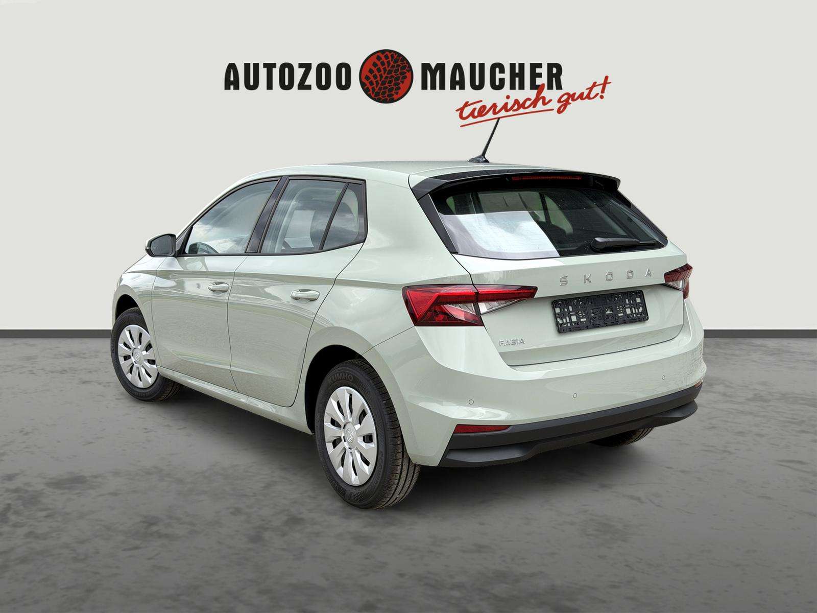 Fahrzeugbild eines Skoda Fabia