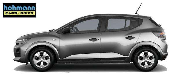 Fahrzeugbild eines Dacia Sandero