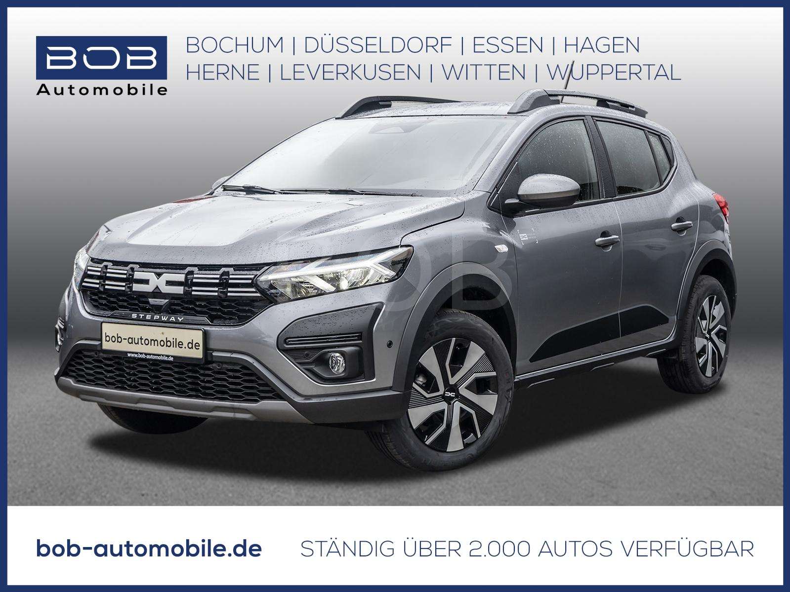 Fahrzeugbild eines Dacia Sandero