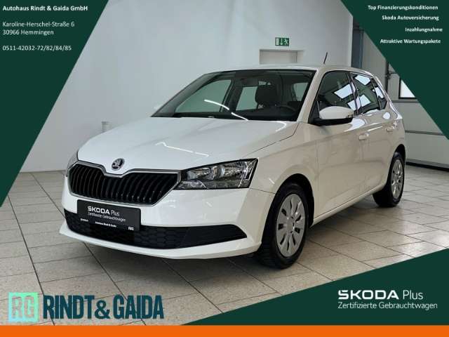 Fahrzeugbild eines Skoda Fabia