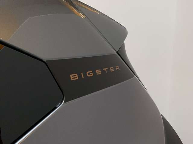 Fahrzeugbild eines Dacia Bigster