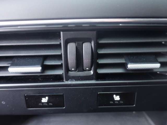 Fahrzeugbild eines Porsche Cayenne