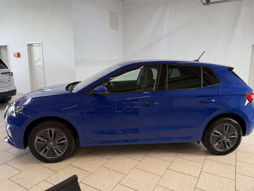 Fahrzeugbild eines Skoda Fabia