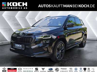 Bild Skoda Karoq