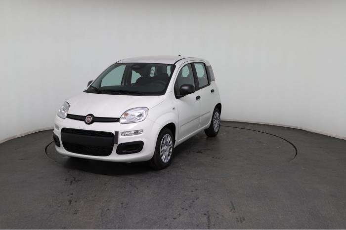 Fahrzeugbild eines Fiat Panda
