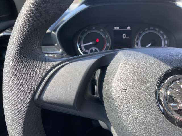 Fahrzeugbild eines Skoda Fabia