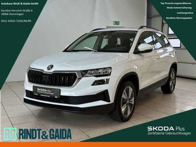Bild Skoda Karoq