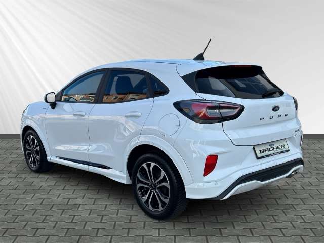 Fahrzeugbild eines Ford Puma