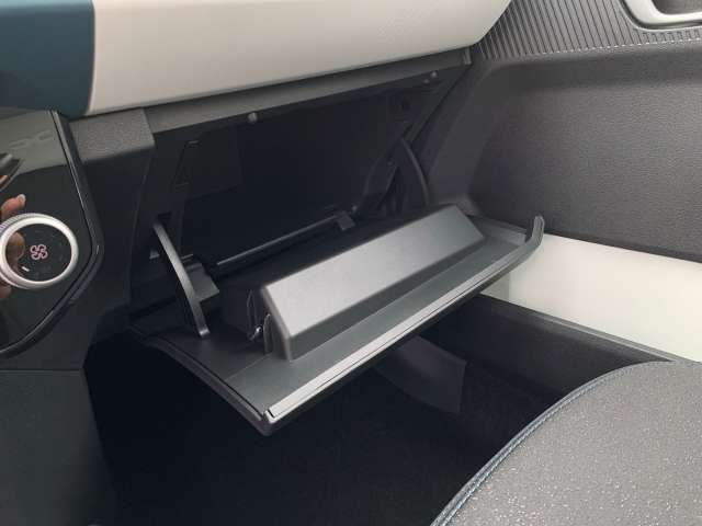 Fahrzeugbild eines Dacia Spring