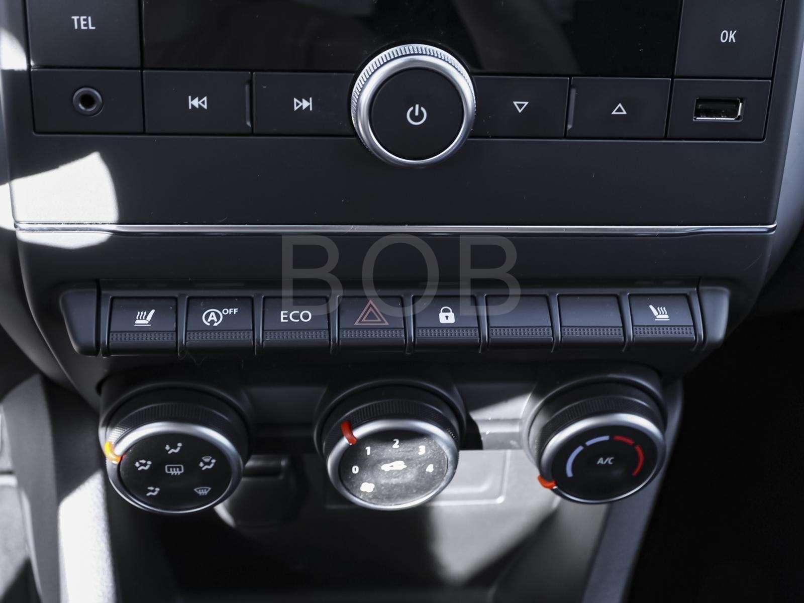 Fahrzeugbild eines Renault Clio