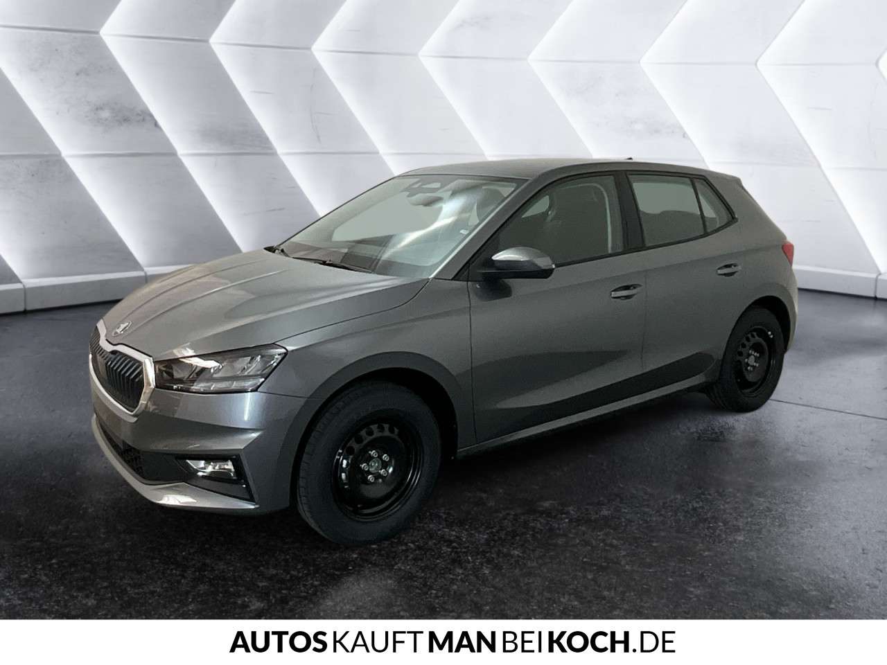 Fahrzeugbild eines Skoda Fabia