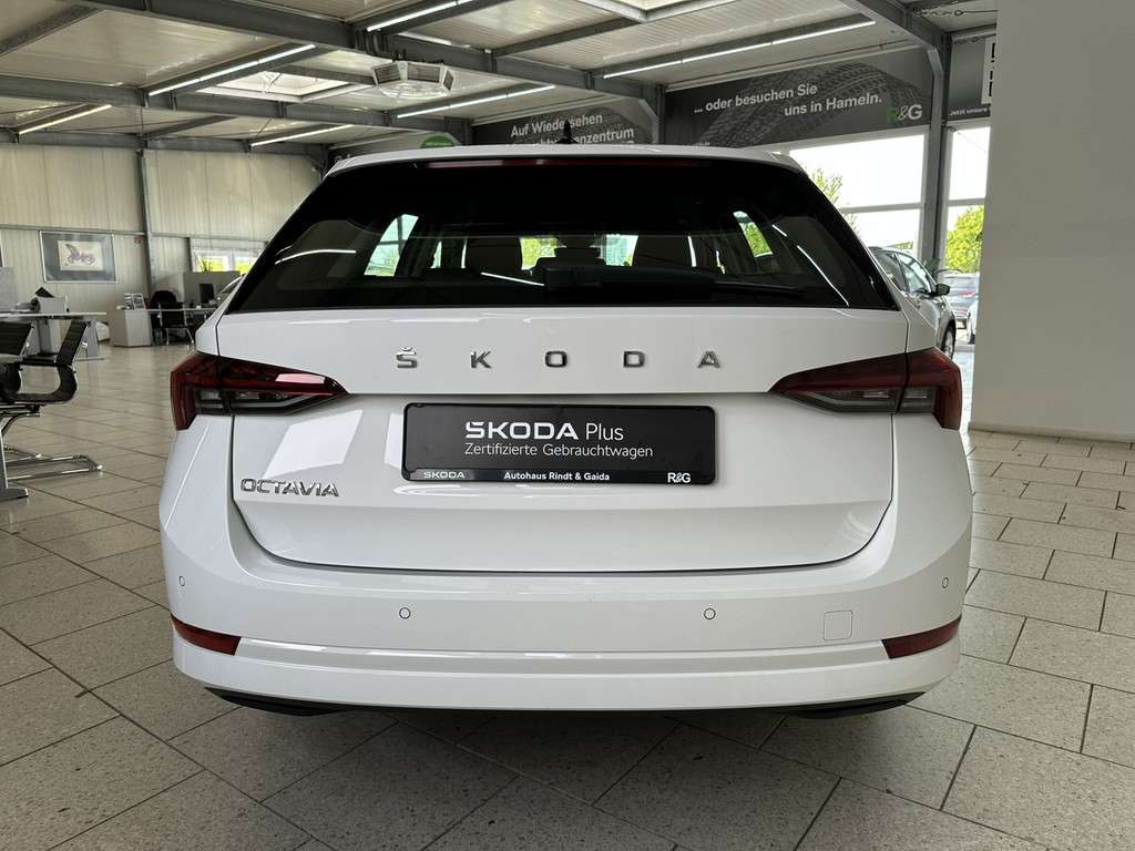 Fahrzeugbild eines Skoda Octavia