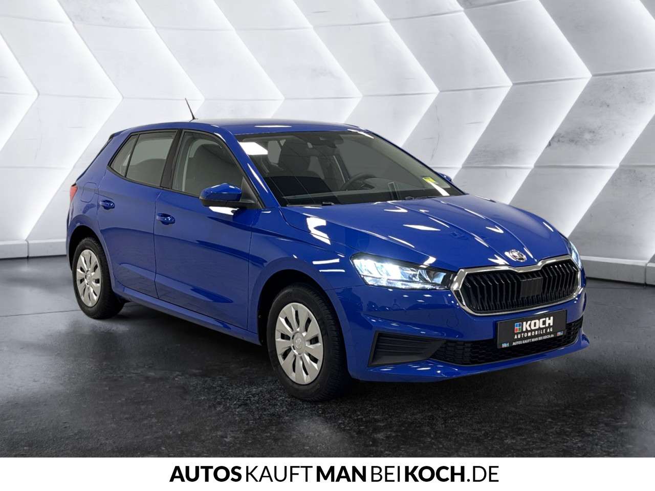 Fahrzeugbild eines Skoda Fabia