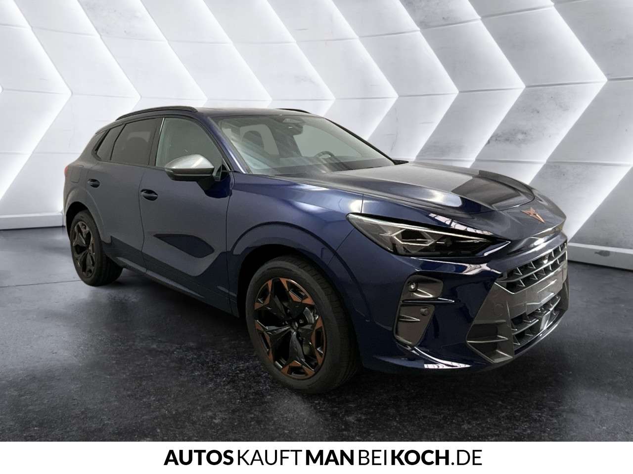Fahrzeugbild eines CUPRA Terramar