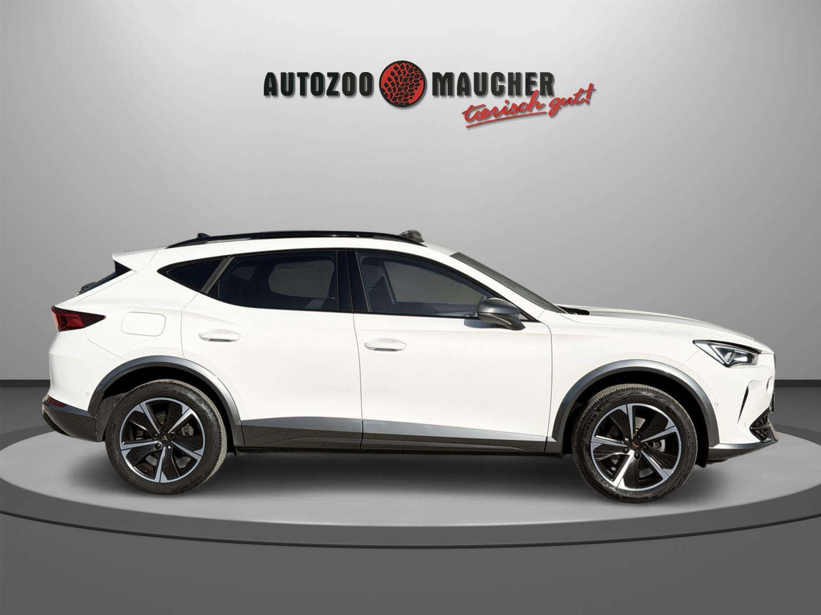 Fahrzeugbild eines CUPRA Formentor