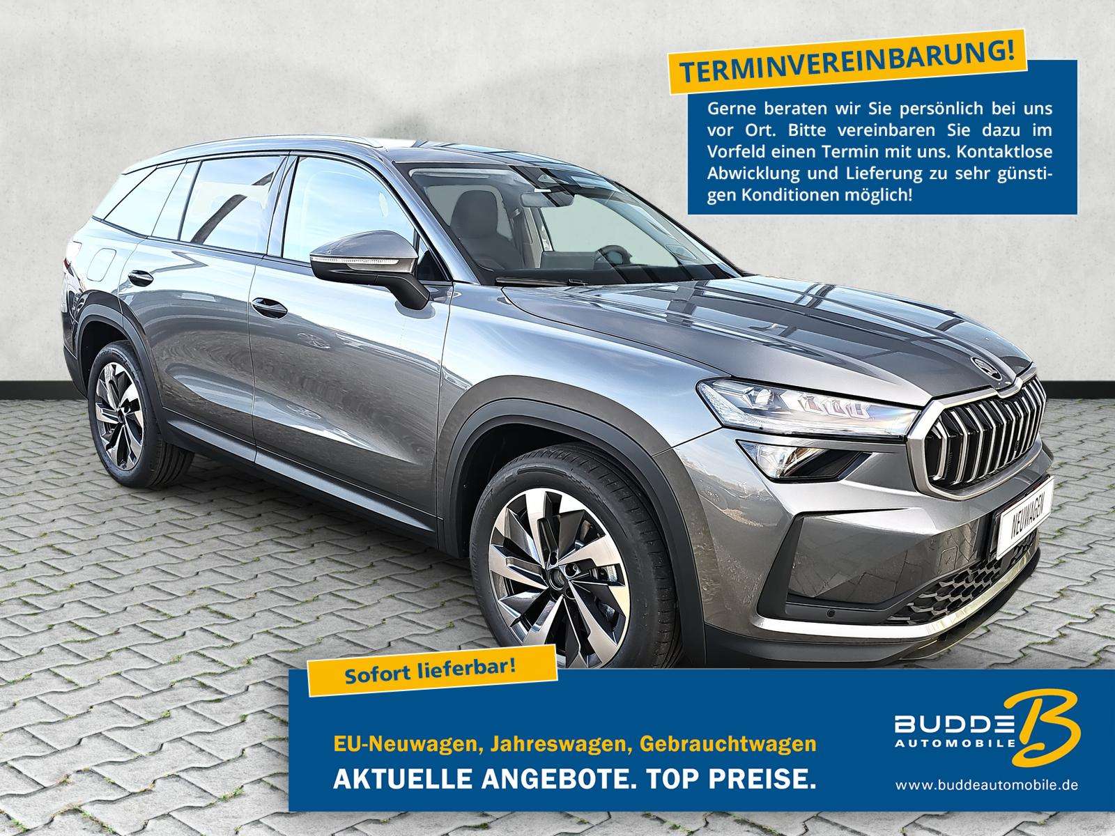 Fahrzeugbild eines Skoda Kodiaq