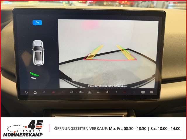 Fahrzeugbild eines BYD Atto 2
