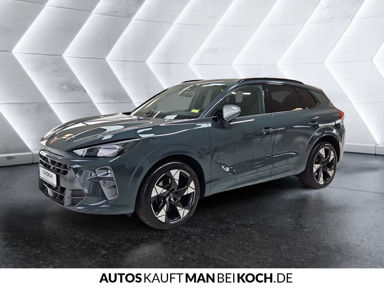 Fahrzeugbild eines CUPRA Terramar