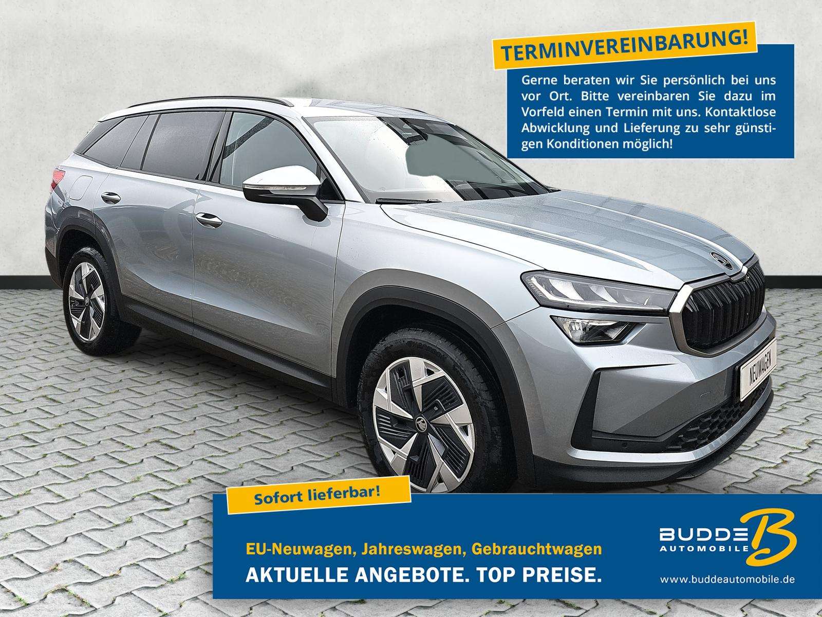 Fahrzeugbild eines Skoda Kodiaq