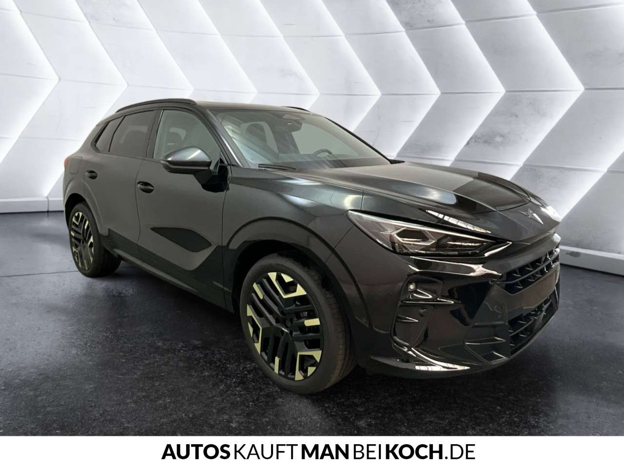 Fahrzeugbild eines CUPRA Terramar