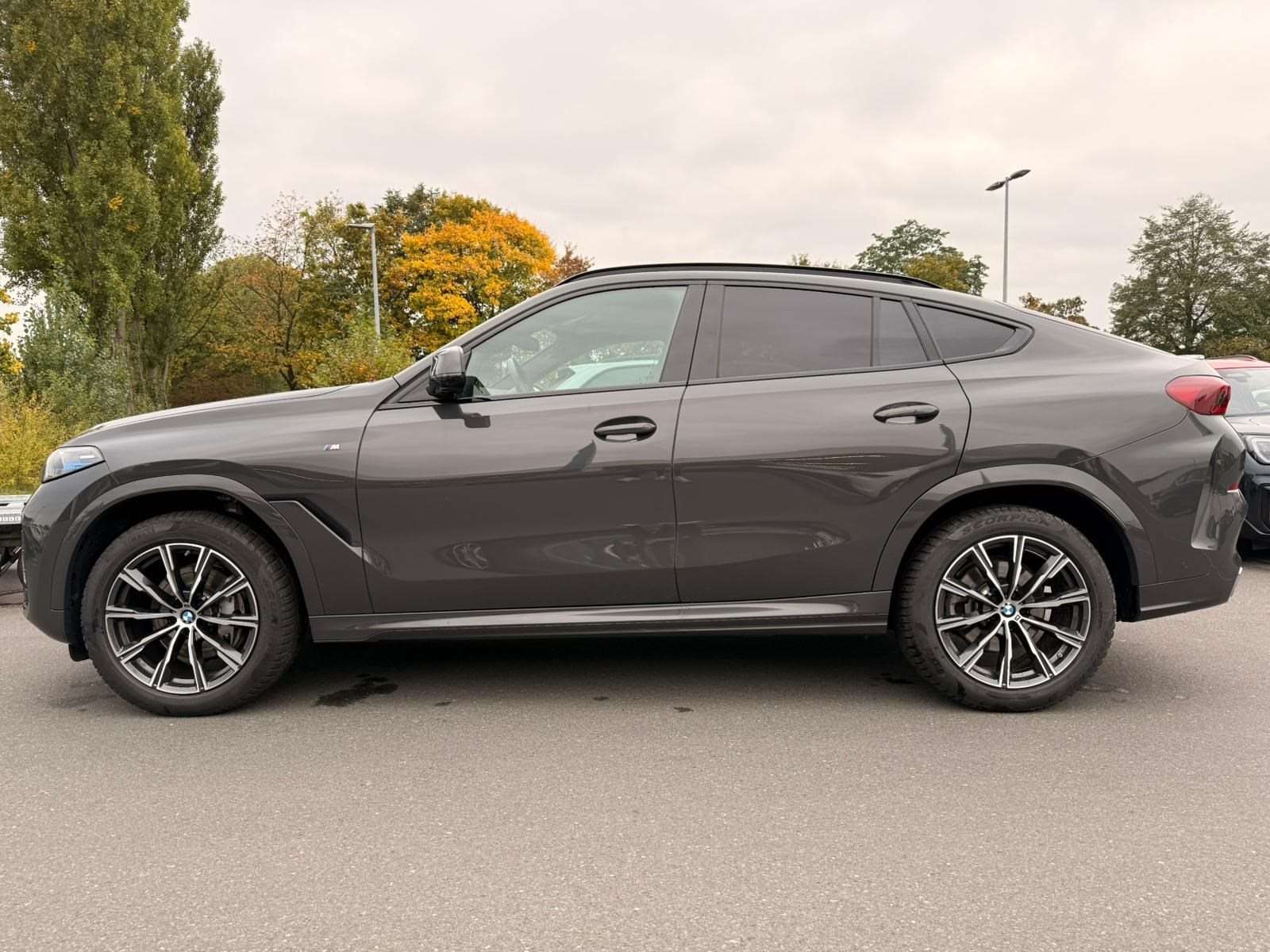 Fahrzeugbild eines BMW X6