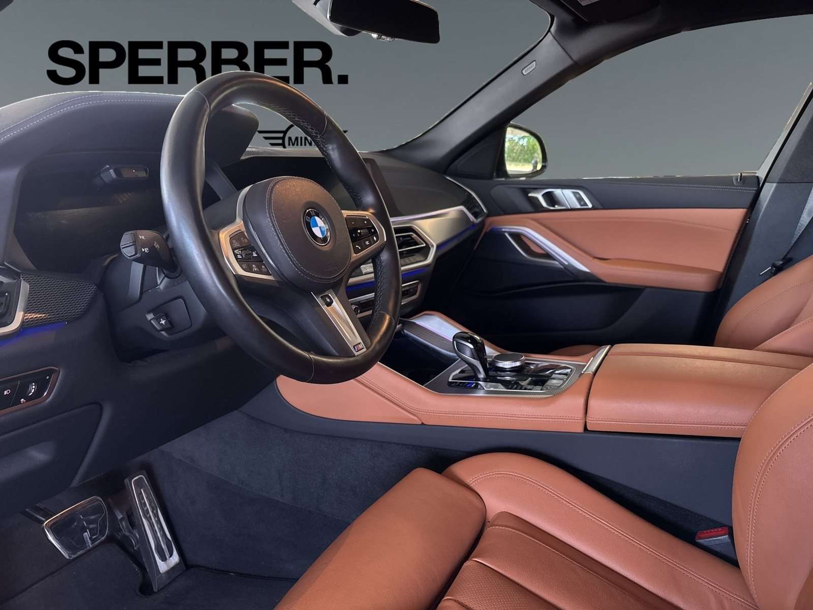 Fahrzeugbild eines BMW X6