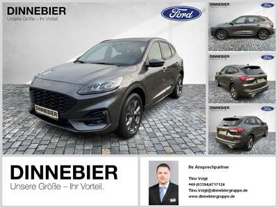 Bild Ford Kuga