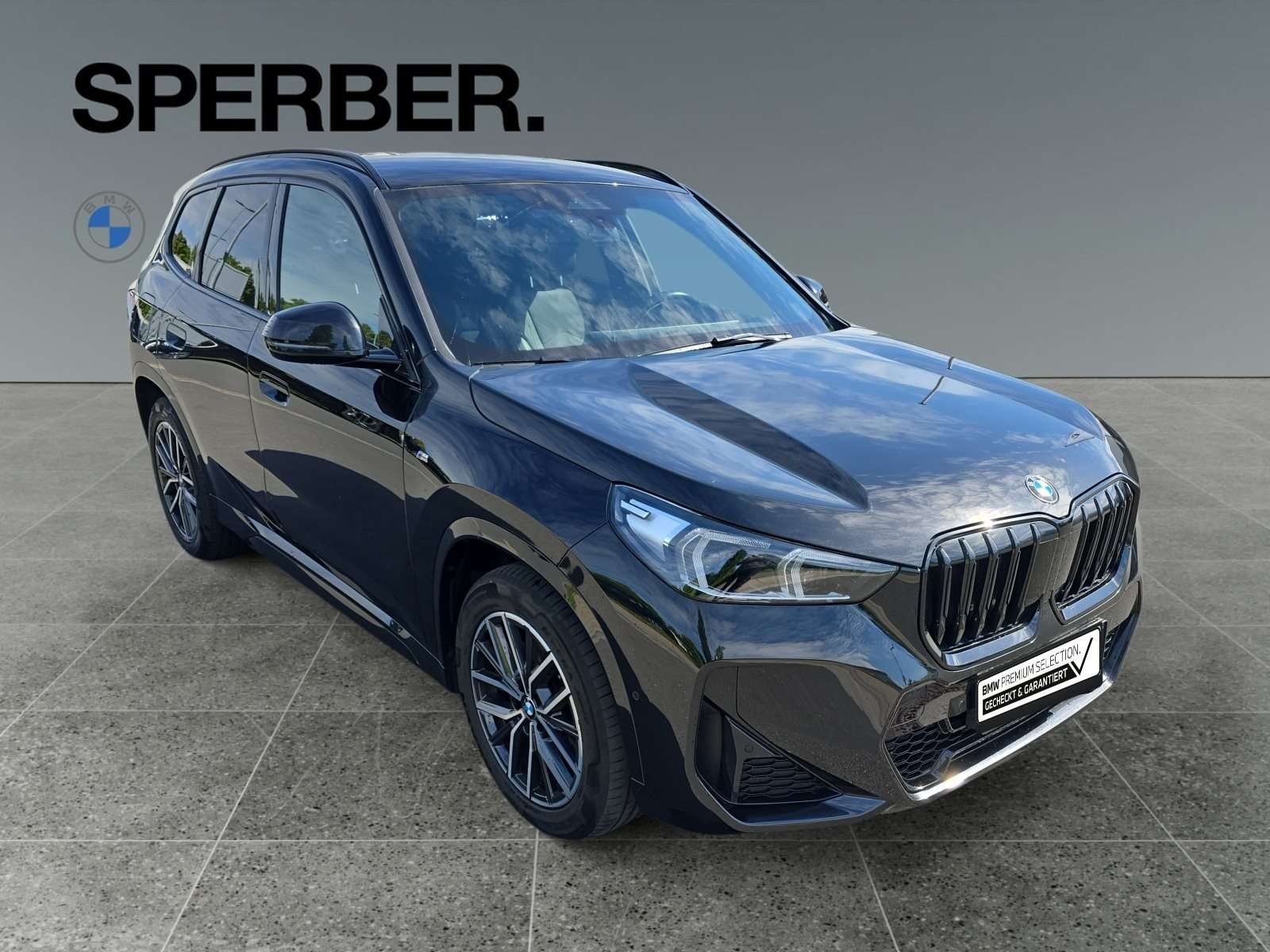 Fahrzeugbild eines BMW X1