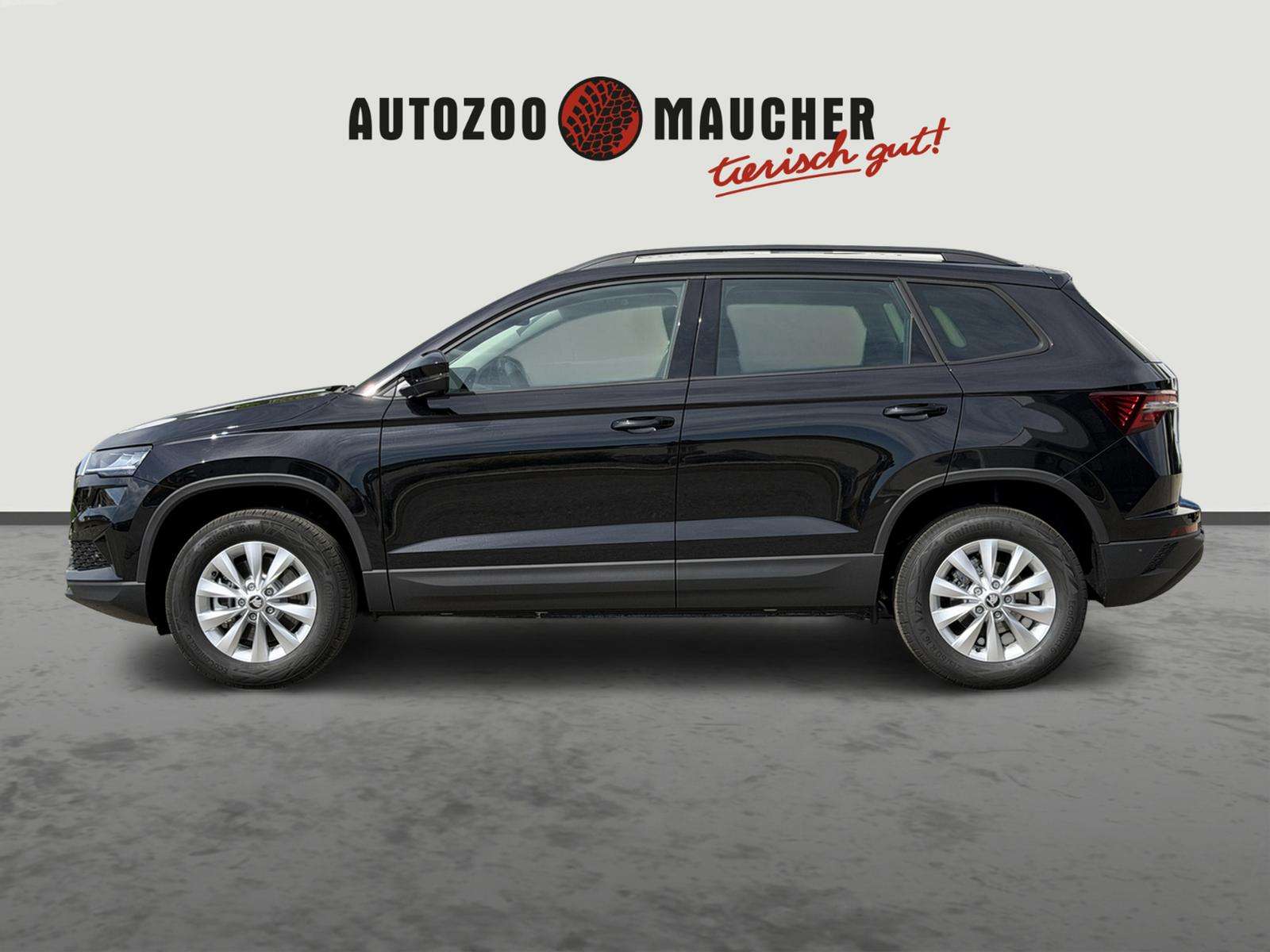 Fahrzeugbild eines Skoda Karoq