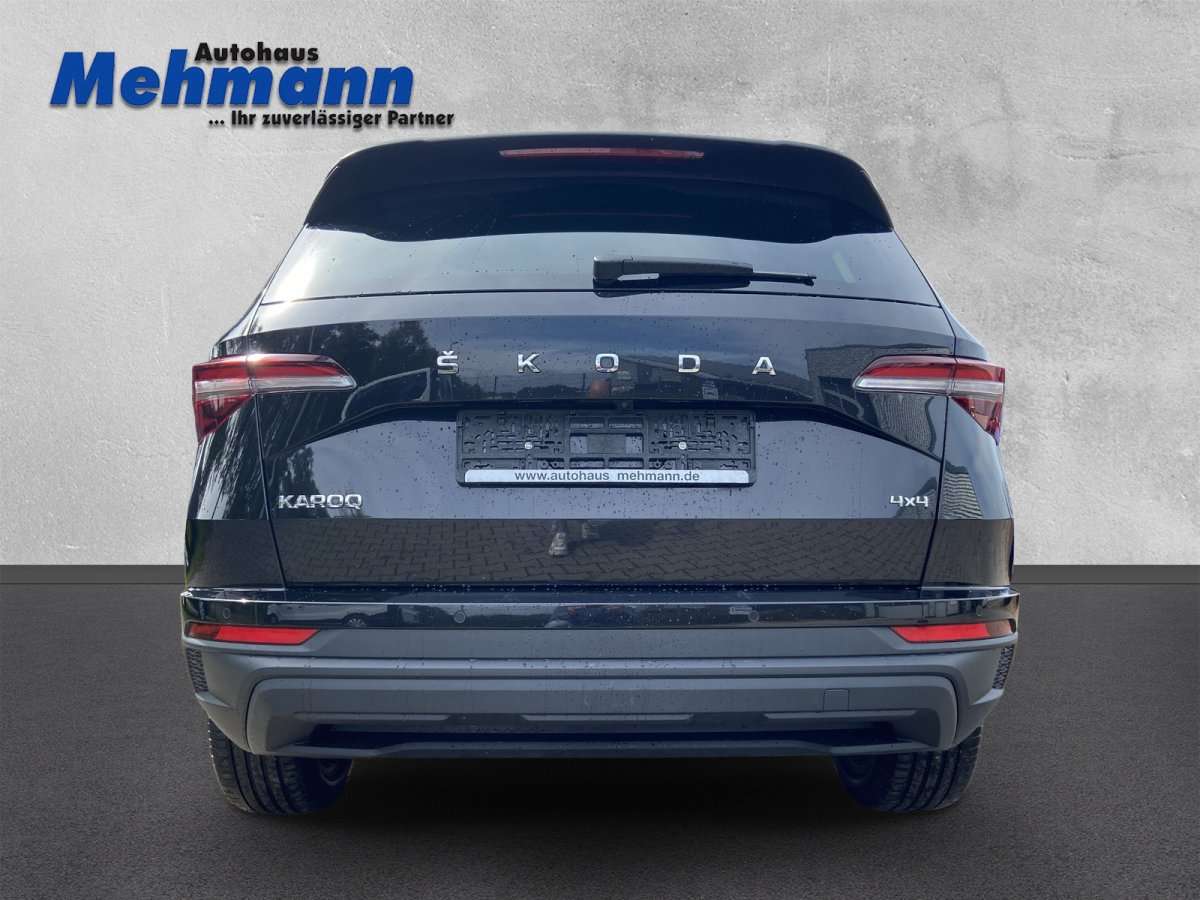 Fahrzeugbild eines Skoda Karoq