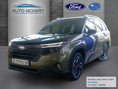 Bild Subaru Forester