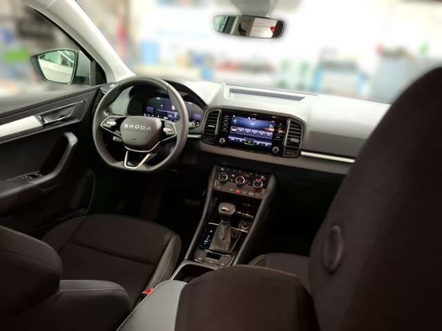 Fahrzeugbild eines Skoda Karoq