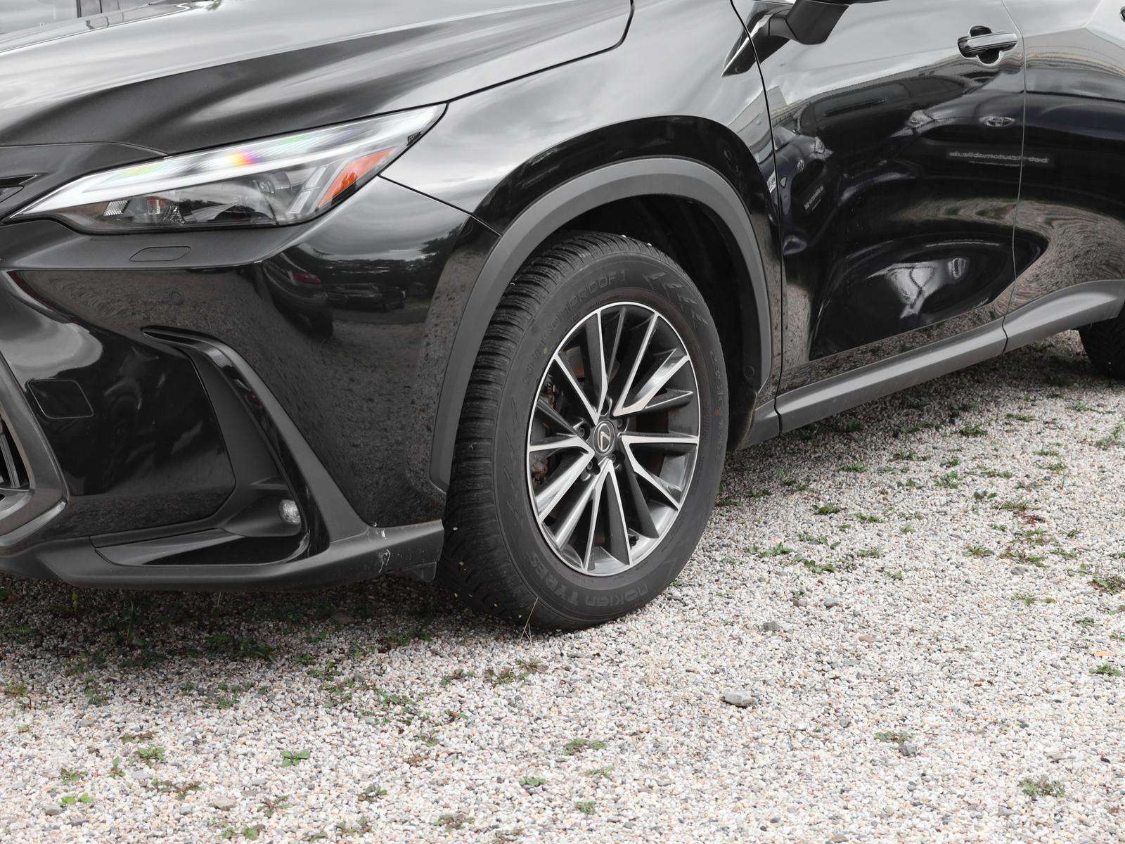 Fahrzeugbild eines Lexus NX