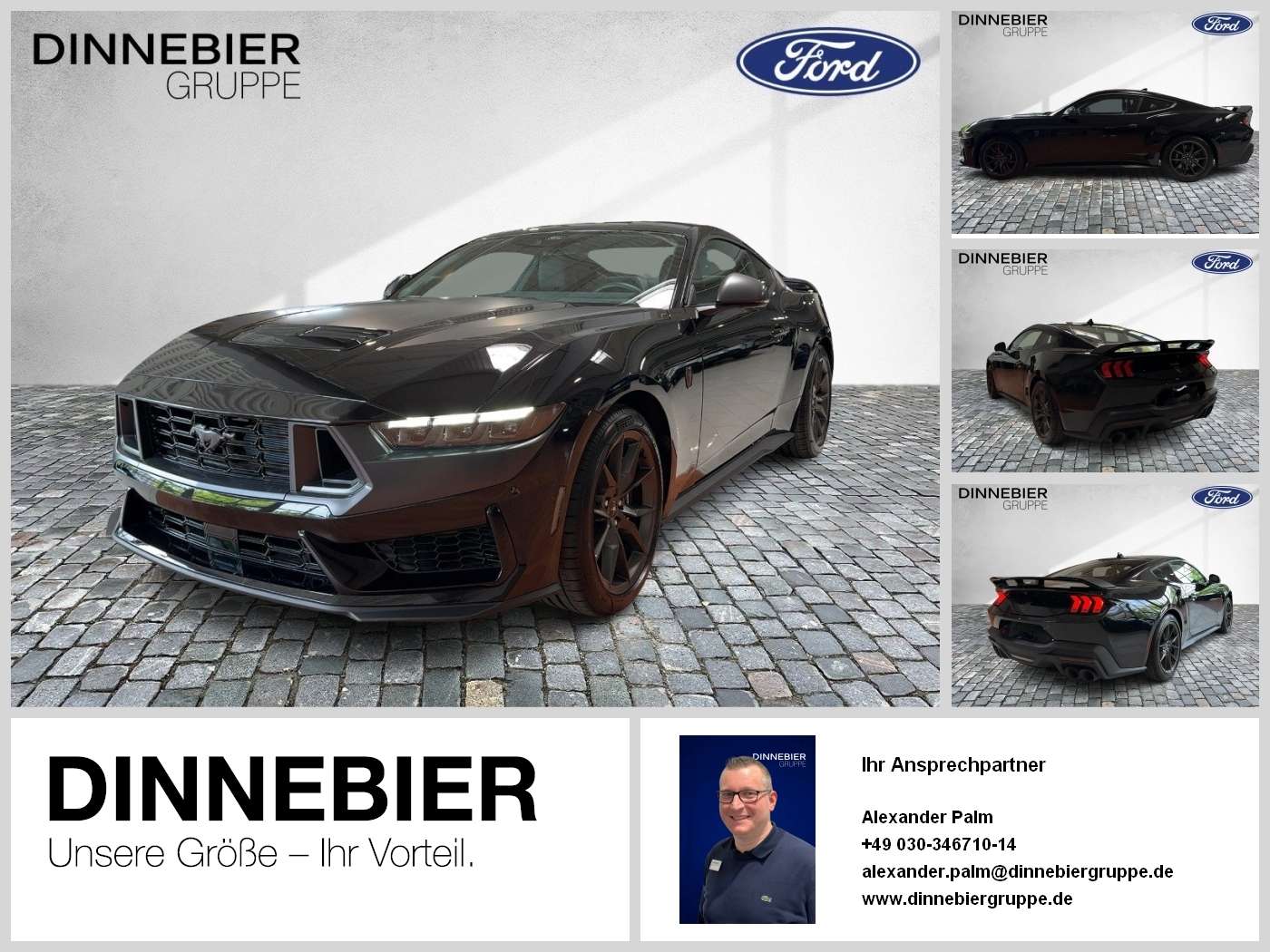 Fahrzeugbild eines Ford Mustang
