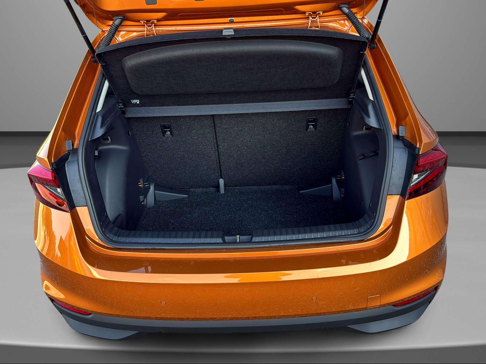 Fahrzeugbild eines Skoda Fabia