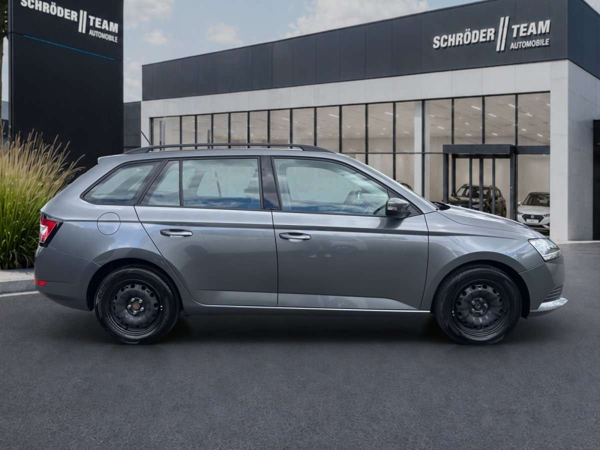 Fahrzeugbild eines Skoda Fabia