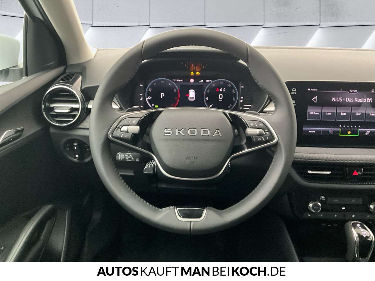 Fahrzeugbild eines Skoda Fabia