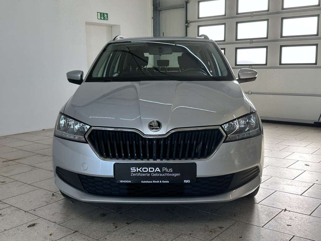 Fahrzeugbild eines Skoda Fabia