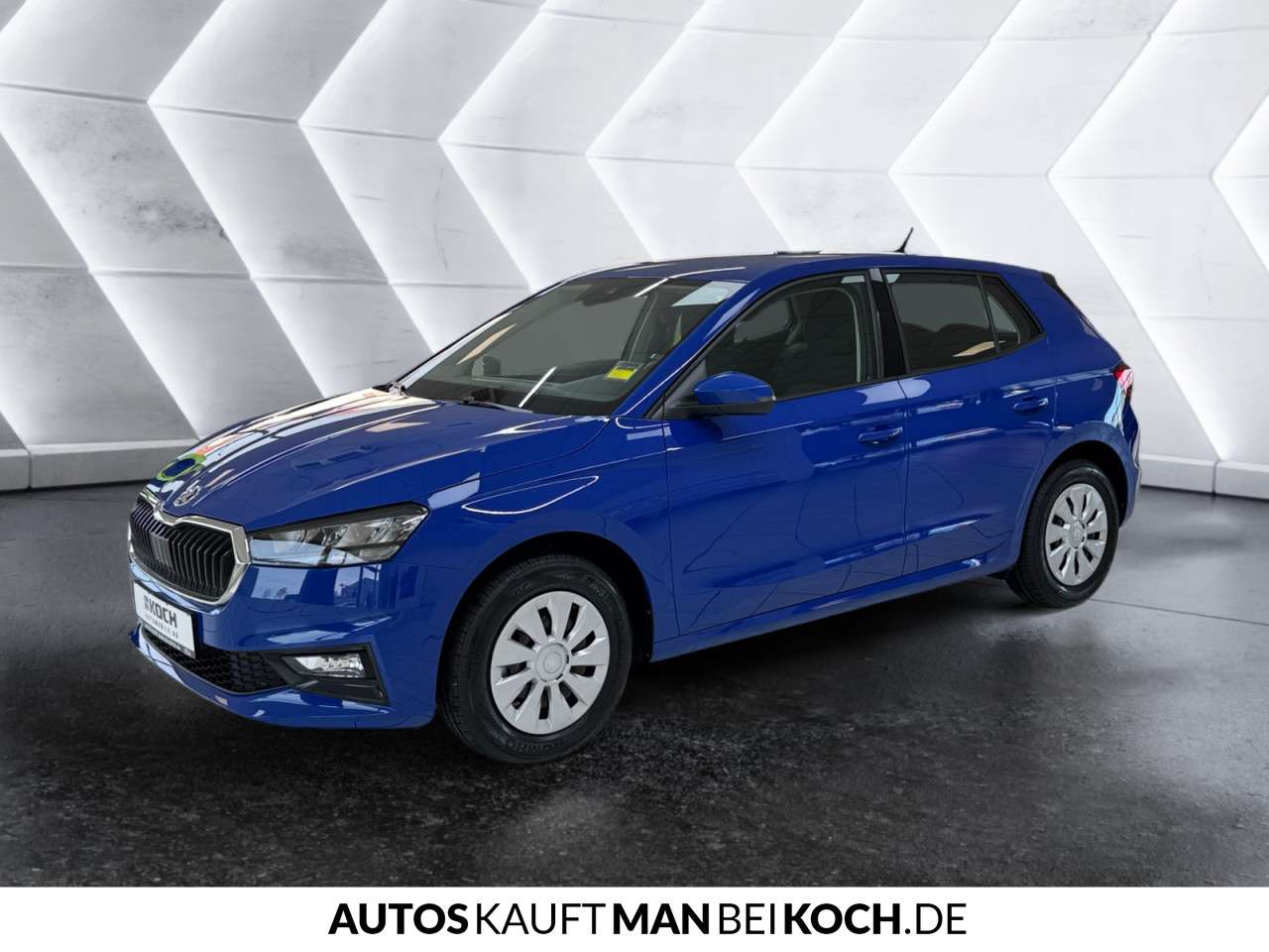 Fahrzeugbild eines Skoda Fabia