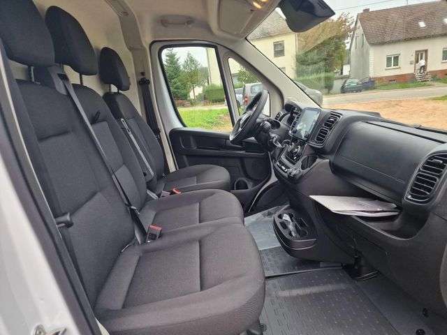 Fahrzeugbild eines Opel Movano