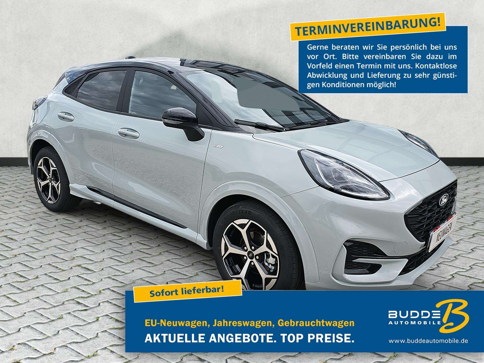 Fahrzeugbild eines Ford Puma