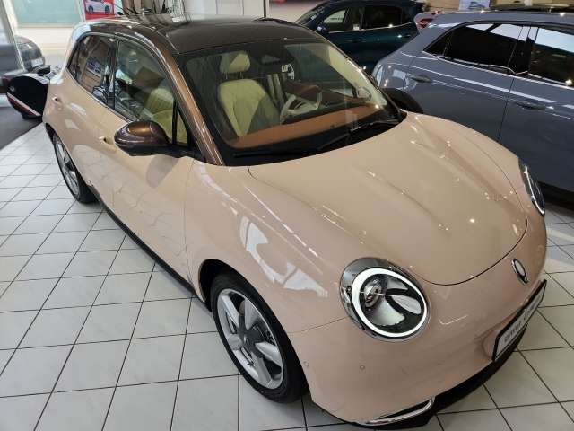 Fahrzeugbild eines GWM Ora 03