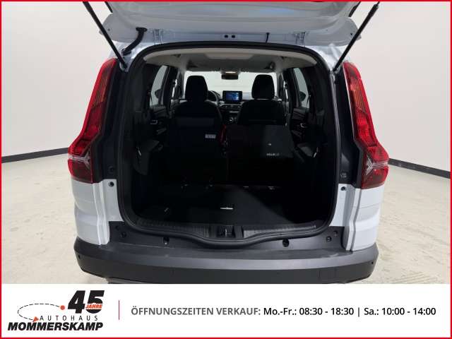 Fahrzeugbild eines Dacia Jogger