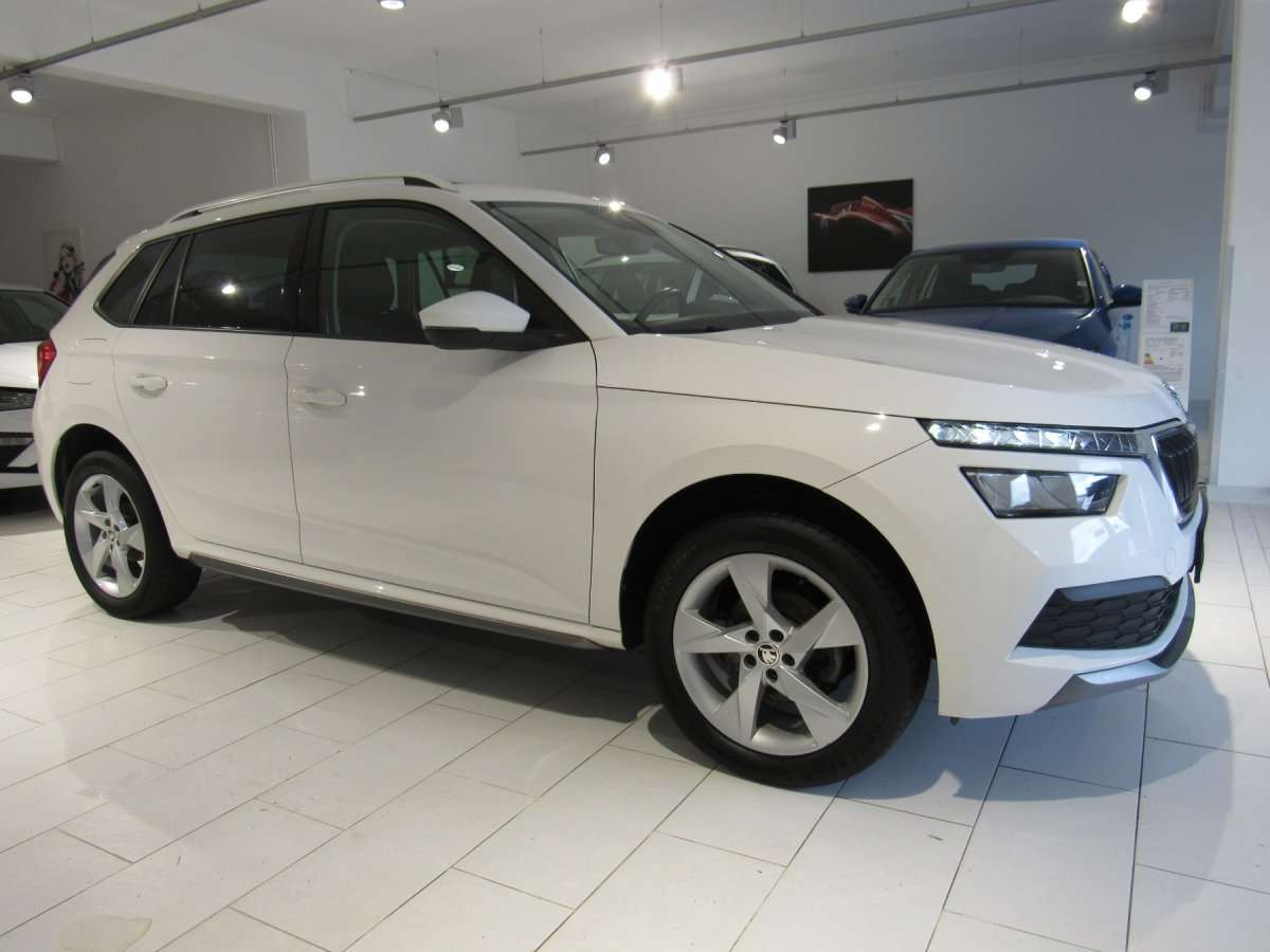 Fahrzeugbild eines Skoda Kamiq