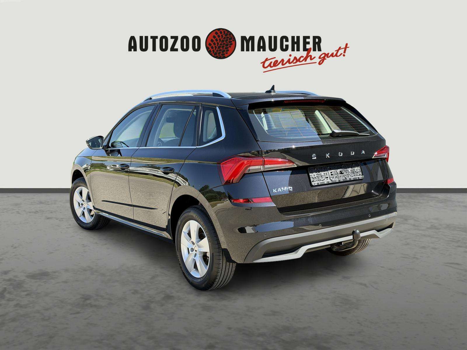 Fahrzeugbild eines Skoda Kamiq