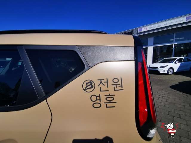 Fahrzeugbild eines Kia Soul