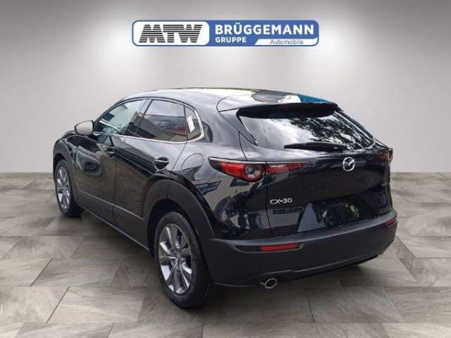Fahrzeugbild eines Mazda CX-30