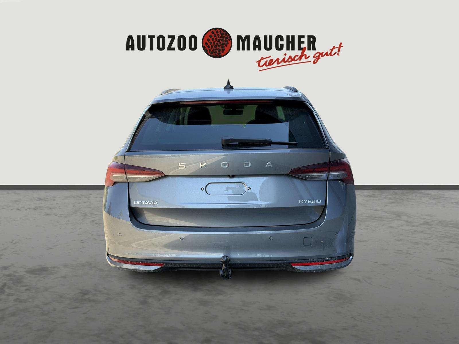 Fahrzeugbild eines Skoda Octavia