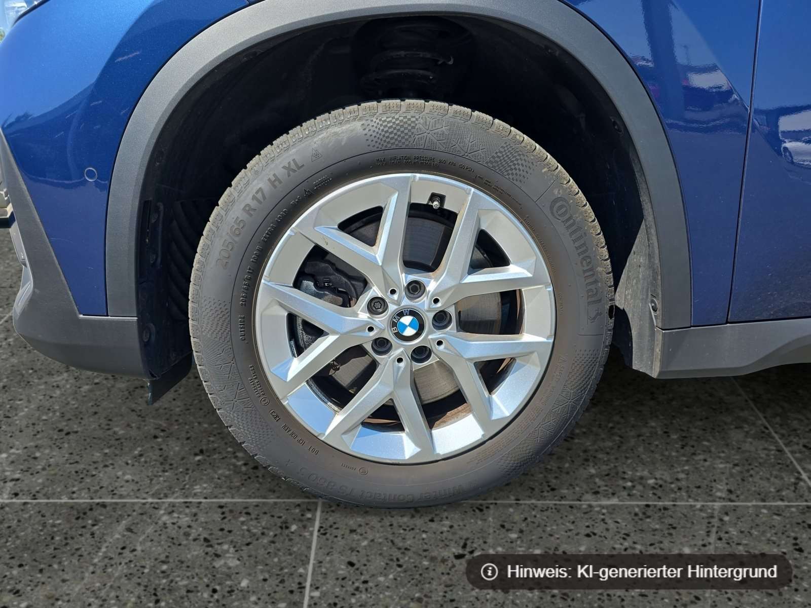 Fahrzeugbild eines BMW X1